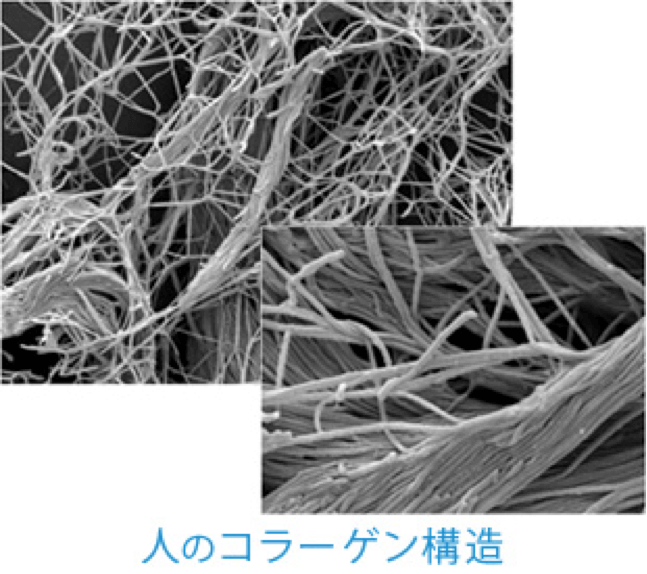 美肌治療器　フォトRF　コラーゲンマスク